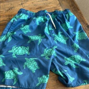 Blue and Green Turtle Pattern Swim Shorts